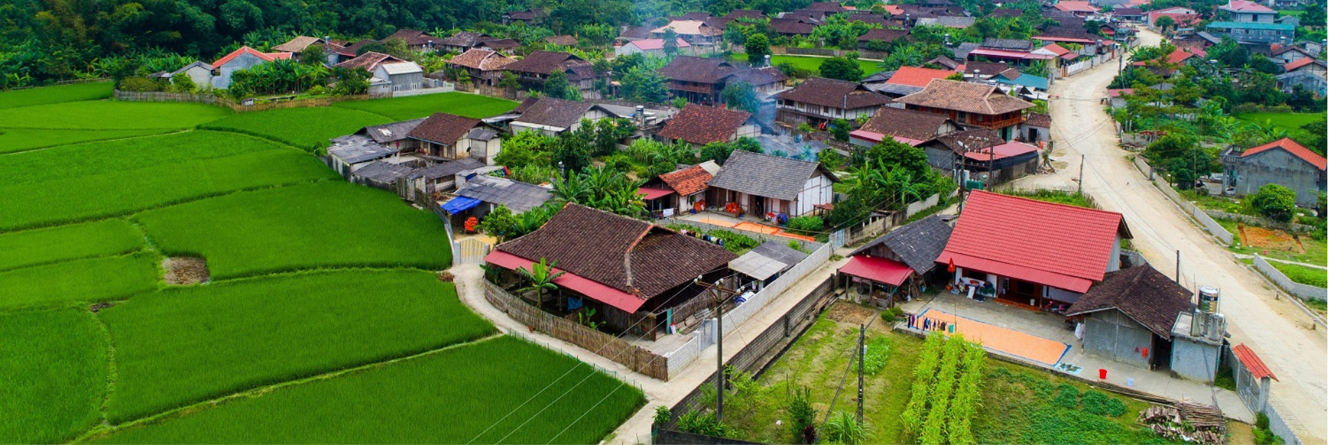 Ảnh bìa