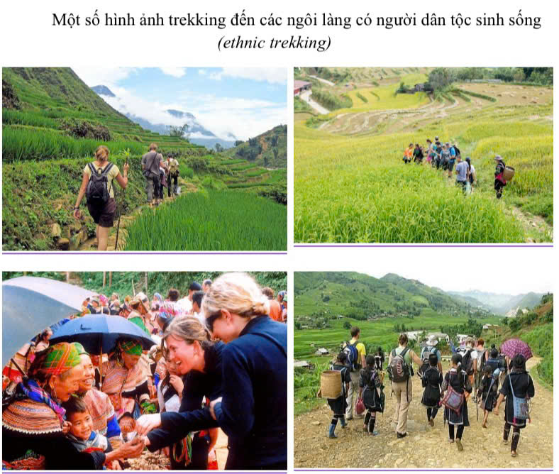 Đoàn công tác làm việc với Hiệp hội Hang động Quốc gia Hoa Kỳ, Pháp và các đơn vị chuyên môn