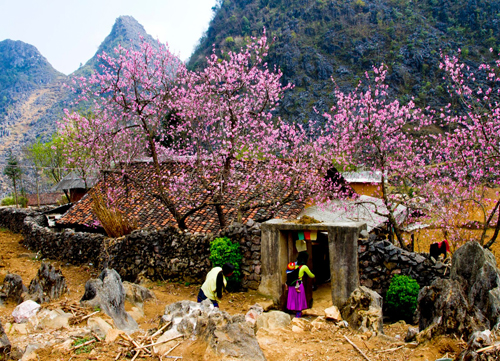 Du khách quốc tế trải nghiệm khám phá và cắm trại tại vùng Công viên địa chất Hà Giang