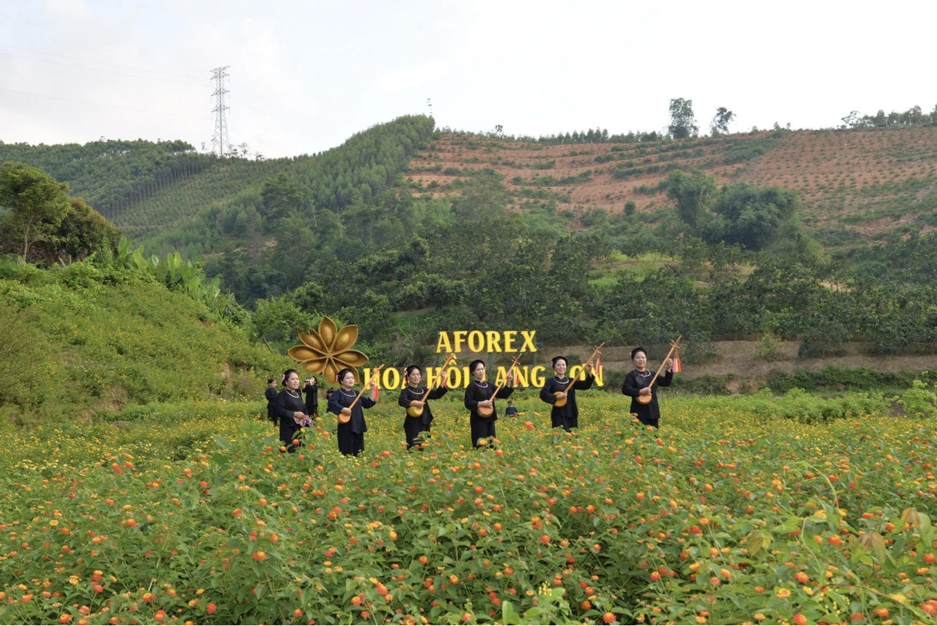 Điểm dừng nghỉ Hoa Hồi xã Nhân Lý Lạng Sơn