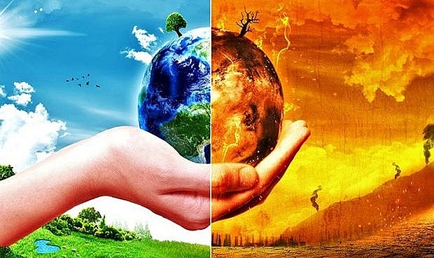 Theo dõi và báo cáo tiến độ thực hiện chiến lược Net Zero