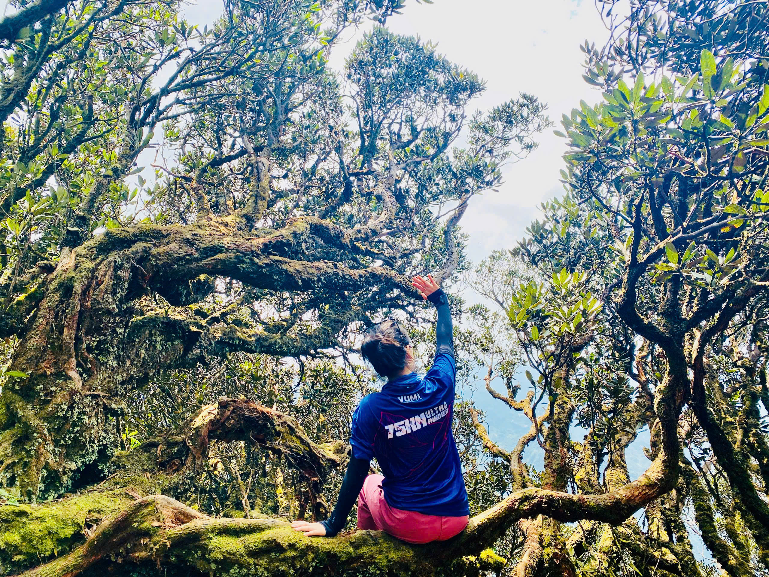 Tuyến hành trình Thì thầm Hoa Đỗ Quyên Đỉnh Phja Mè công viên địa chất toàn cầu Lạng Sơn